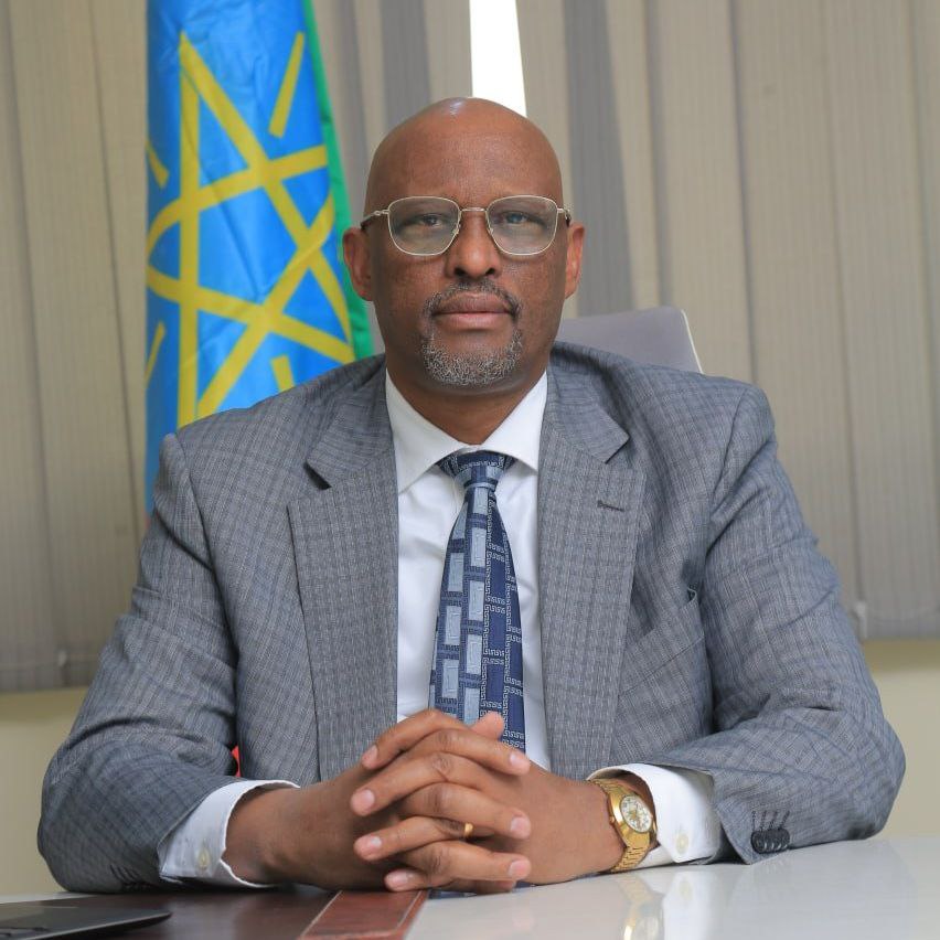 H. E. Eyasu Elias (Professor)