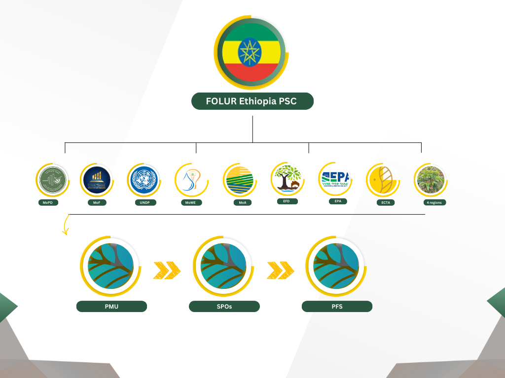 FOLUR Ethiopia Organizational Chart